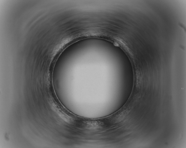 X0000103430439200809191704