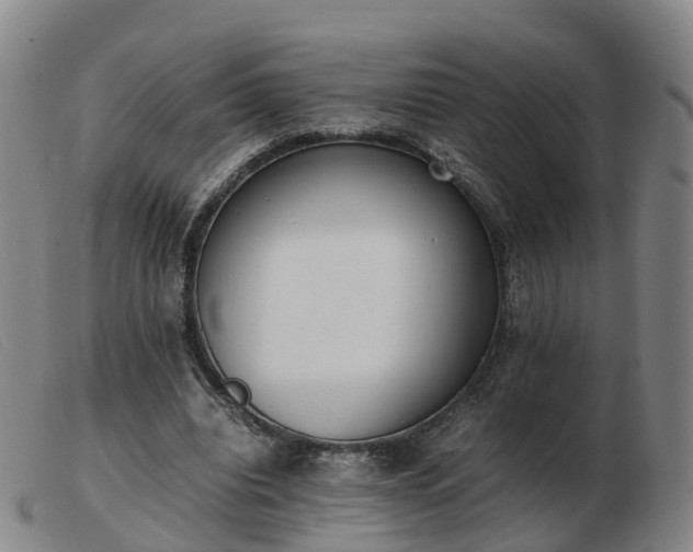 X0000103430440200809191704