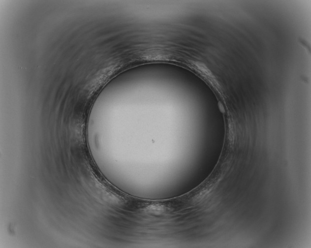 X0000103430441200809191704