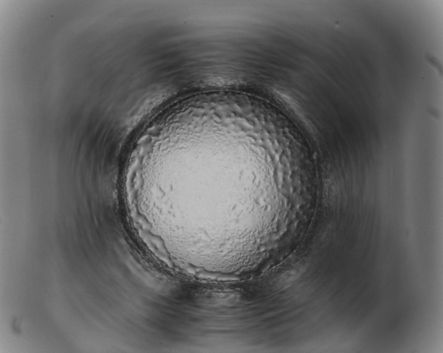 X0000103430443200809191704