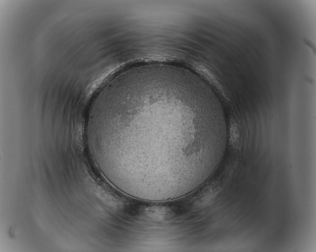 X0000103430444200809191704