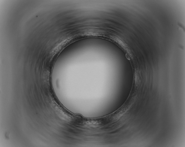 X0000103430445200809191704