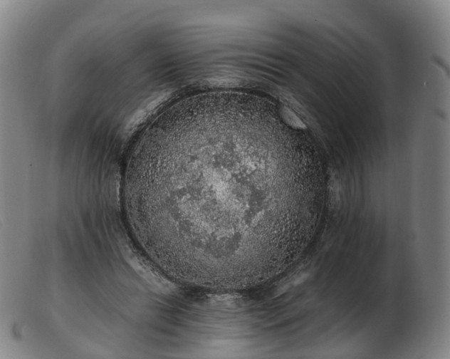 X0000103430446200809191704