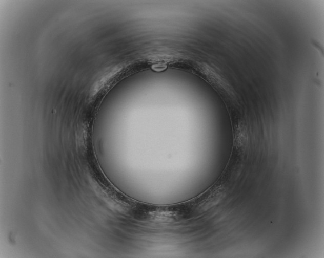 X0000103430448200809191704