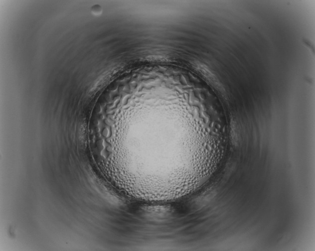 X0000103430449200809191704