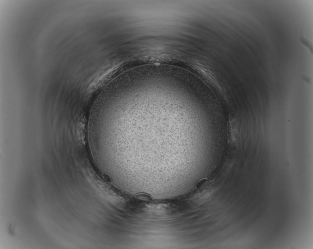 X0000103430450200809191705
