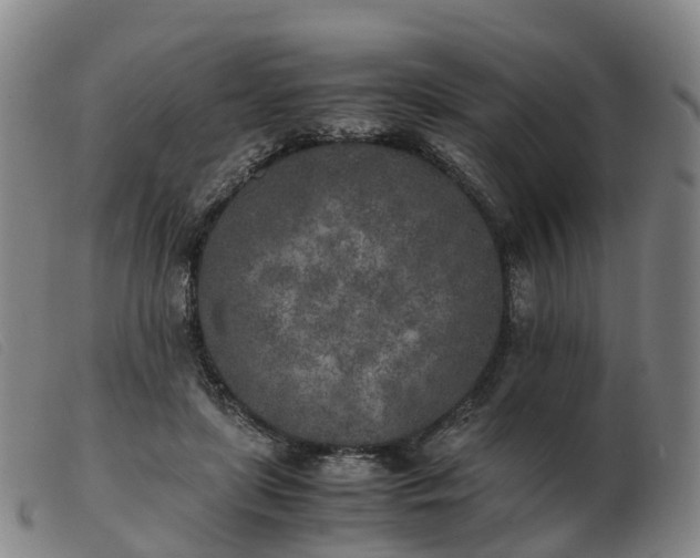 X0000103430451200809191705