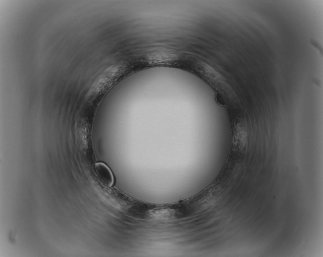 X0000103430452200809191705