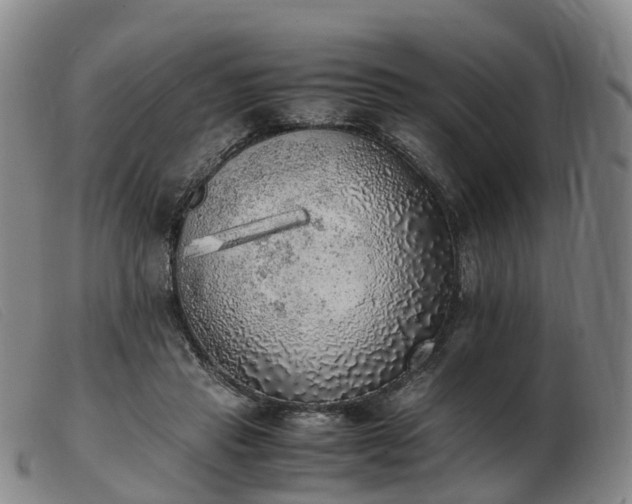 X0000103430453200809191705