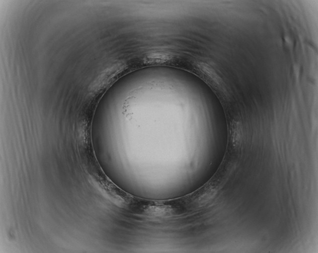 X0000103430455200809191705