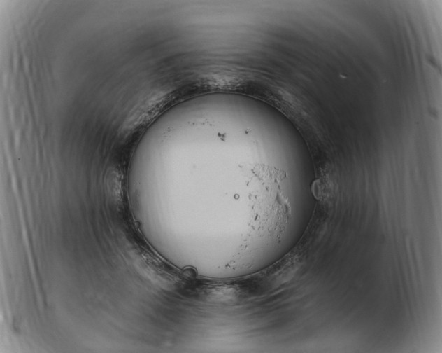 X0000103430456200809191705