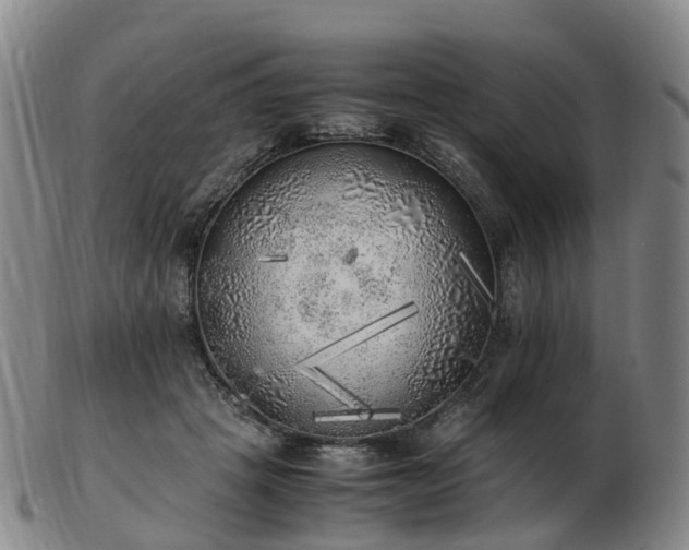 X0000103430457200809191705
