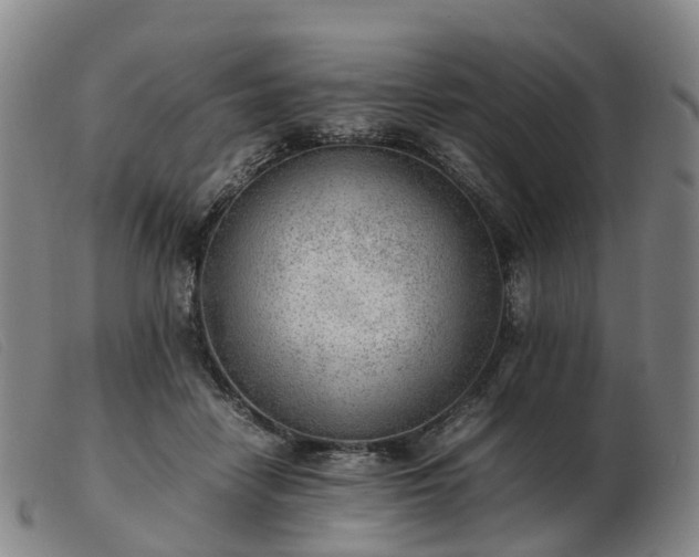 X0000103430458200809191705