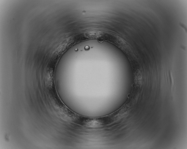 X0000103430460200809191705