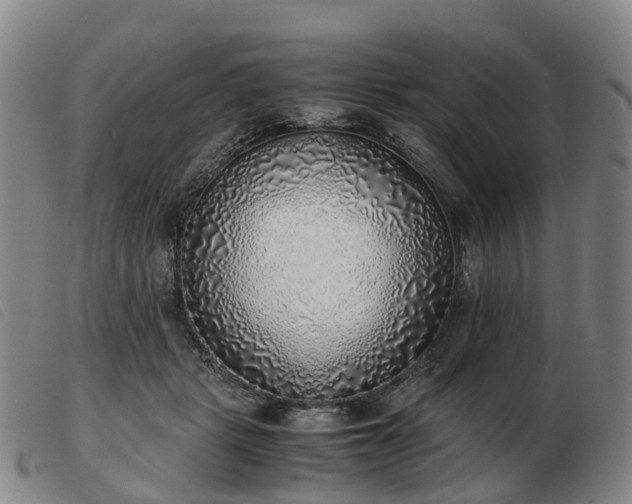 X0000103430461200809191705