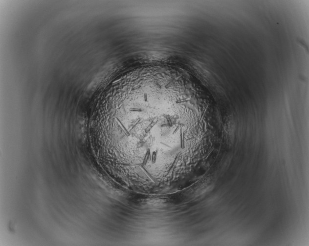X0000103430462200809191705