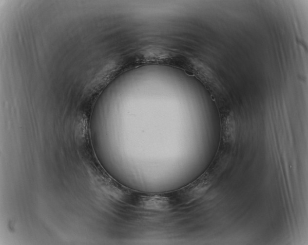 X0000103430463200809191705