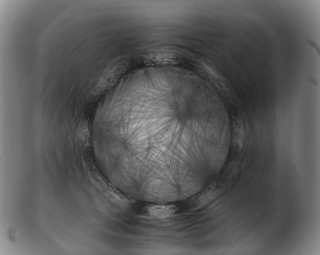 X0000103430465200809191705
