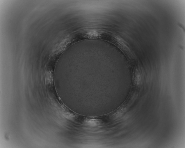 X0000103430467200809191705