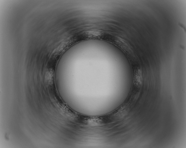 X0000103430468200809191705