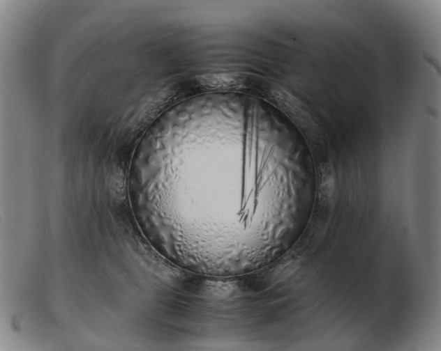 X0000103430469200809191705