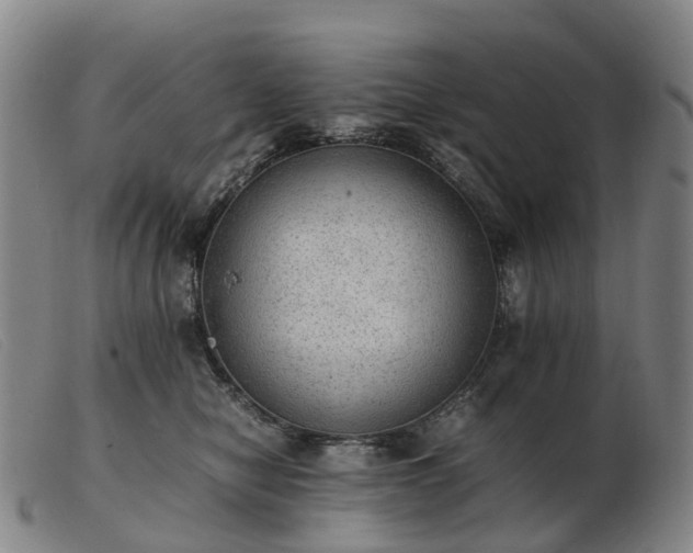 X0000103430470200809191705