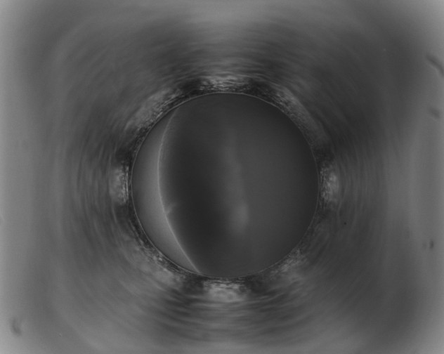 X0000103430471200809191705