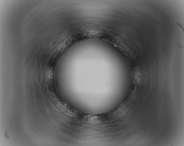X0000103430472200809191705