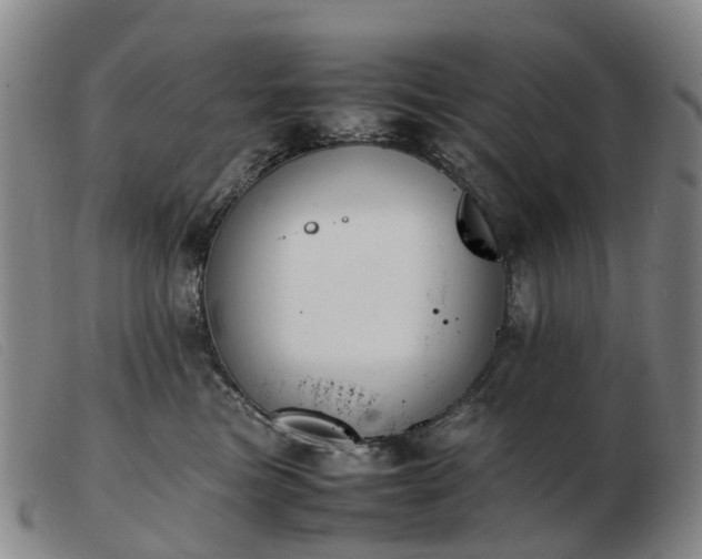 X0000103430473200809191705