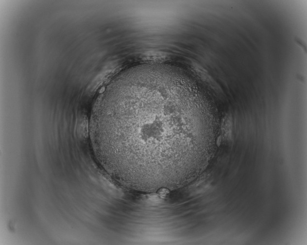 X0000103430474200809191705