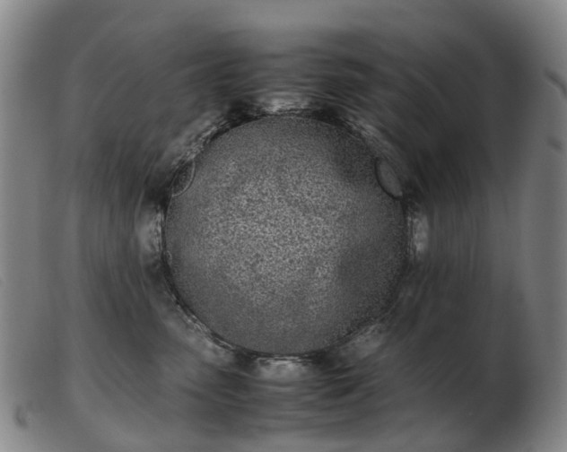 X0000103430475200809191705