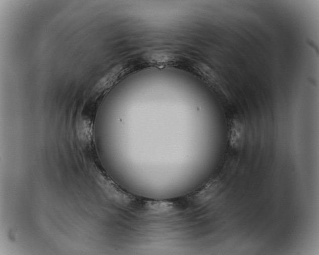 X0000103430476200809191705