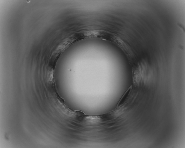 X0000103430477200809191705
