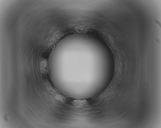X0000103430480200809191705