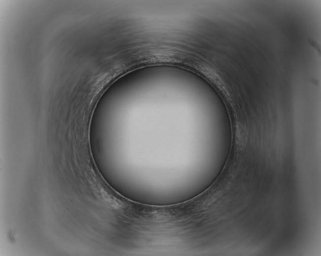 X0000103430481200809191704