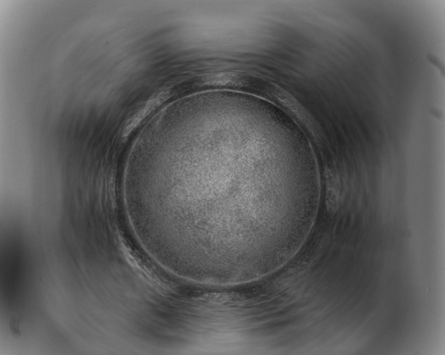 X0000103430482200809191704