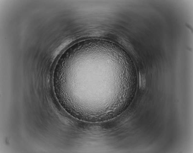X0000103430483200809191704
