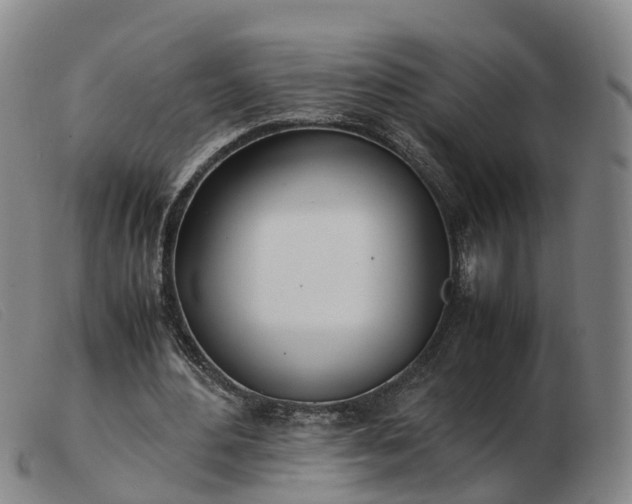 X0000103430484200809191704