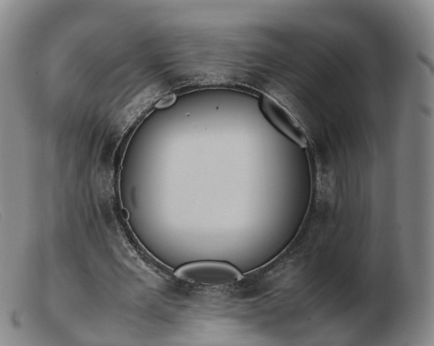 X0000103430485200809191704