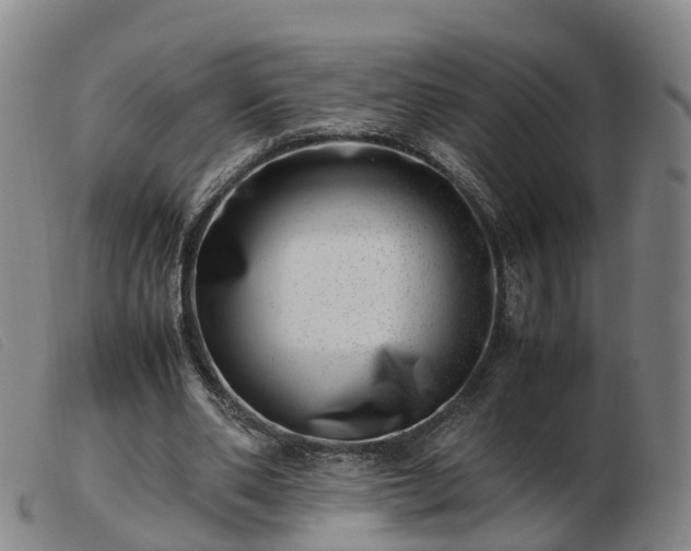 X0000103430486200809191704