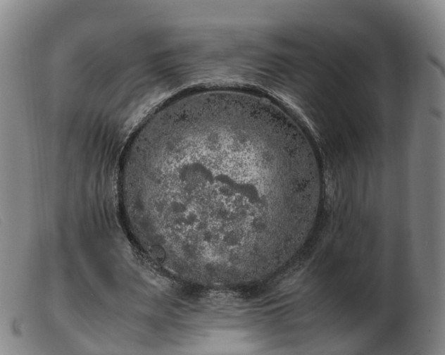 X0000103430487200809191704