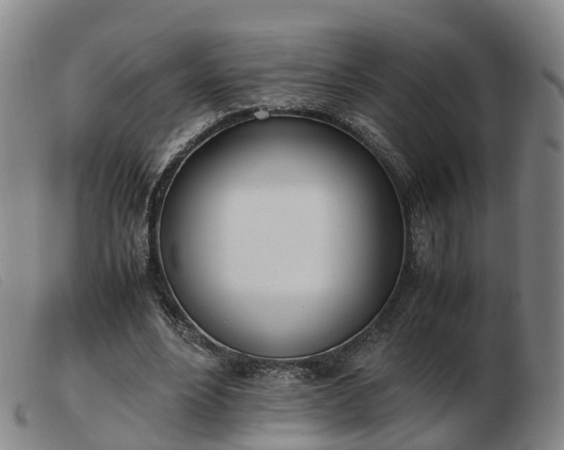 X0000103430488200809191704