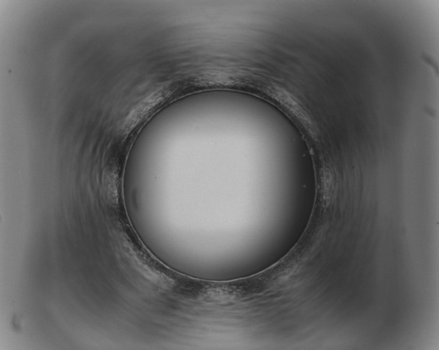 X0000103430489200809191704