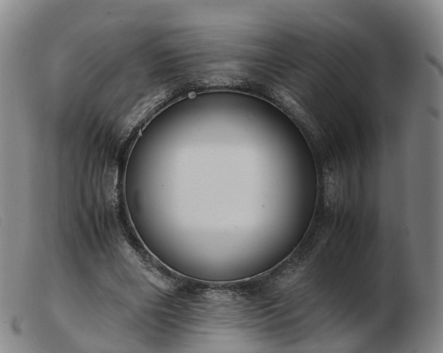 X0000103430490200809191704