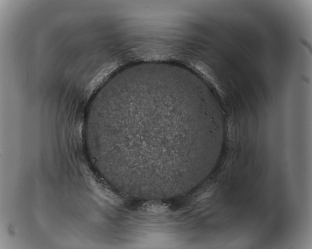 X0000103430491200809191704