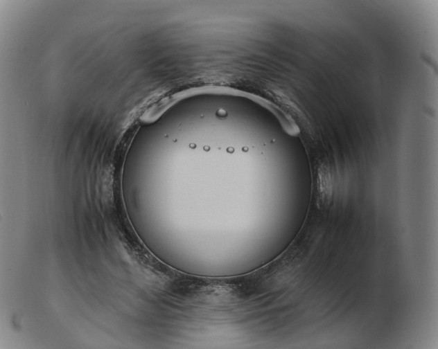X0000103430492200809191704