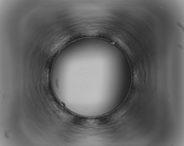 X0000103430493200809191704