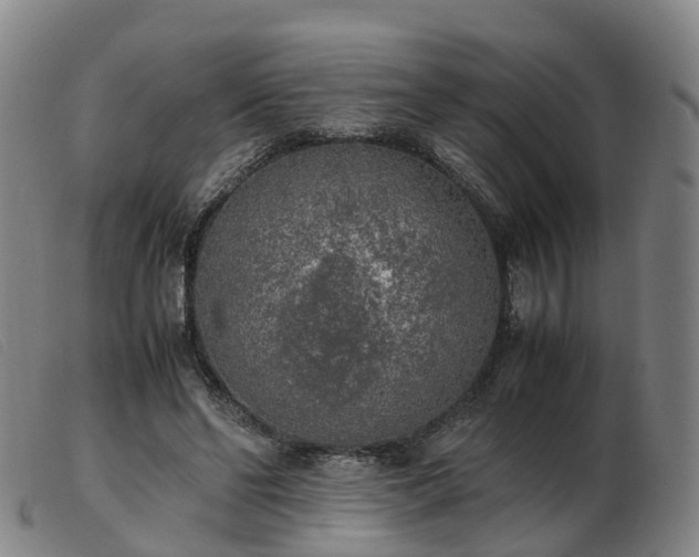 X0000103430494200809191704