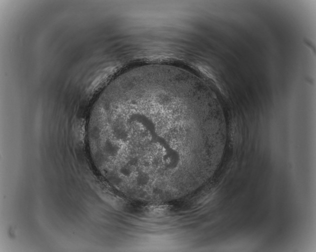 X0000103430495200809191704