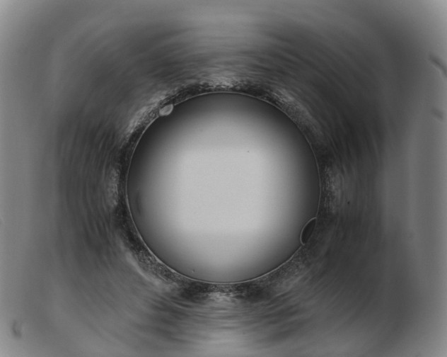 X0000103430496200809191704